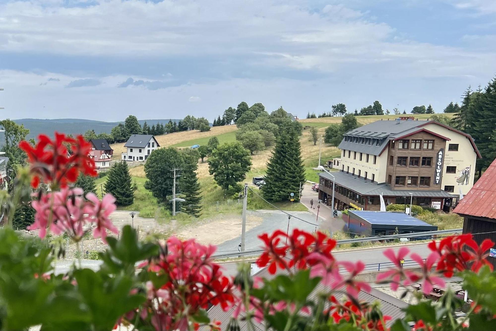 Alpejski Zieleniec Buitenkant foto